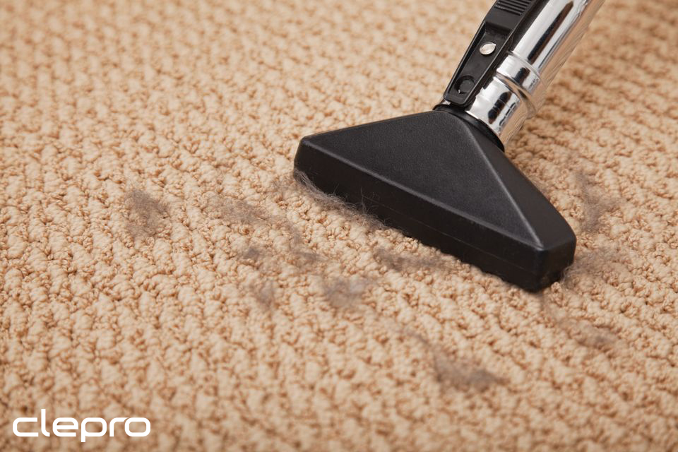 Can You Vacuum Every Day and Ruin Carpet?
