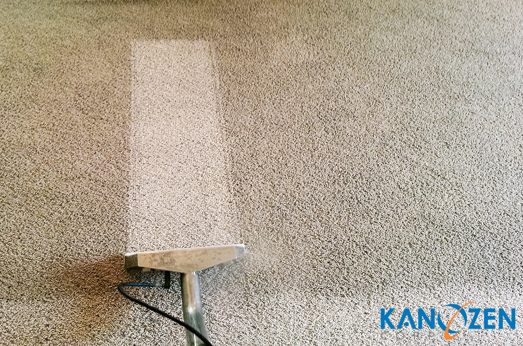 Carpet Cleaner Buying Guide 1